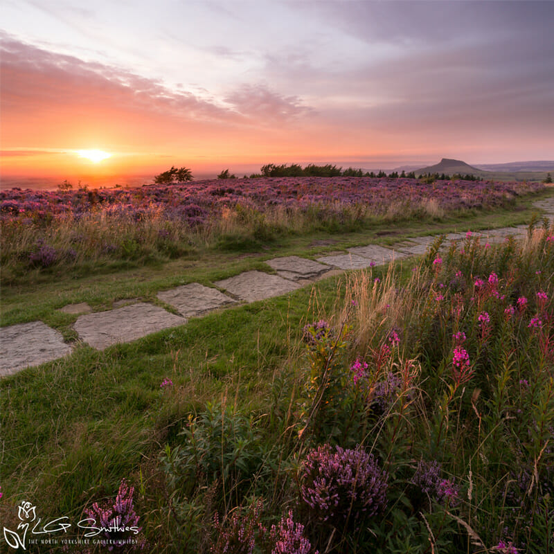 Roseberry Topping And Captain Cook’S Monument Walk – FBQA