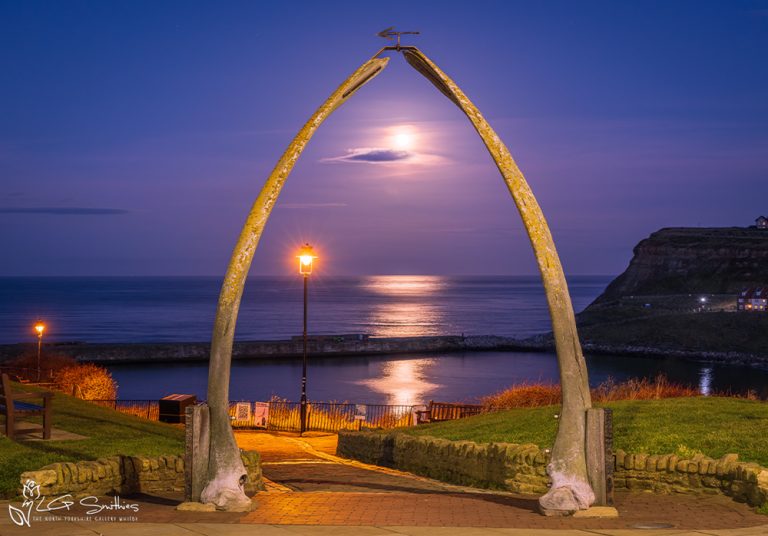 Moonlight Reflections Over the Sea Through Whitby Whalebones