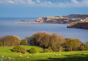 Yorkshire Coast Whitby UK