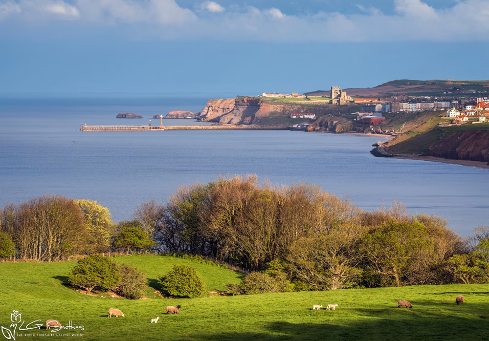 Yorkshire Coast Whitby UK Yorkshire Coast Whitby UK