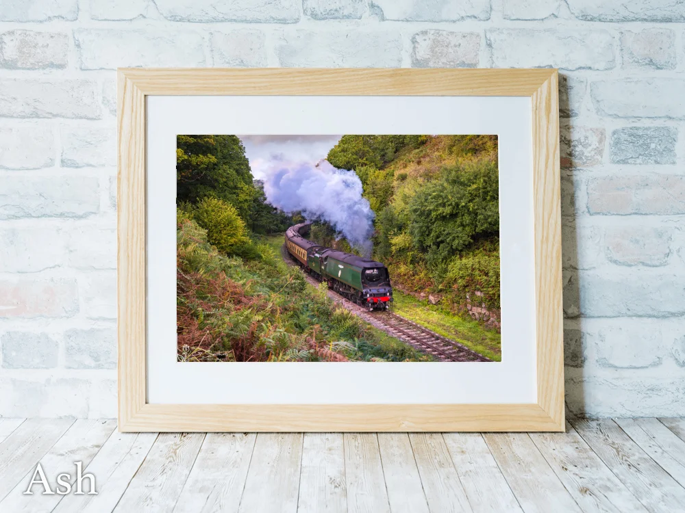 257 Squadron Loco On The North York Moors Heritage Railway 7 257 Squadron Loco On The North York Moors Heritage Railway - Ash-Landscape-Frame