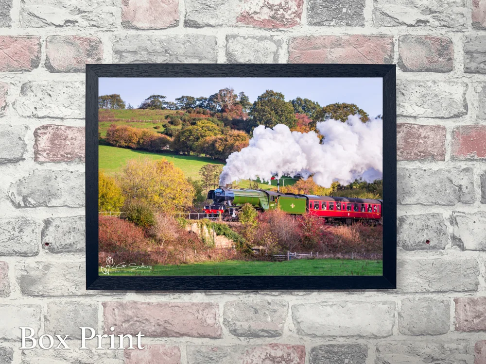 60103 Flying Scotsman At Esk Valley Cottages 4 60103 Flying Scotsman At Esk Valley Cottages - Landscape-Box-Print