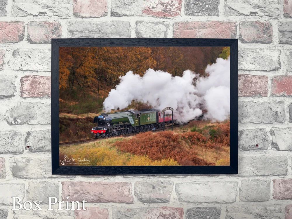 60103 Flying Scotsman At Fen Bog NYMR 4 60103 Flying Scotsman At Fen Bog NYMR - Landscape-Box-Print