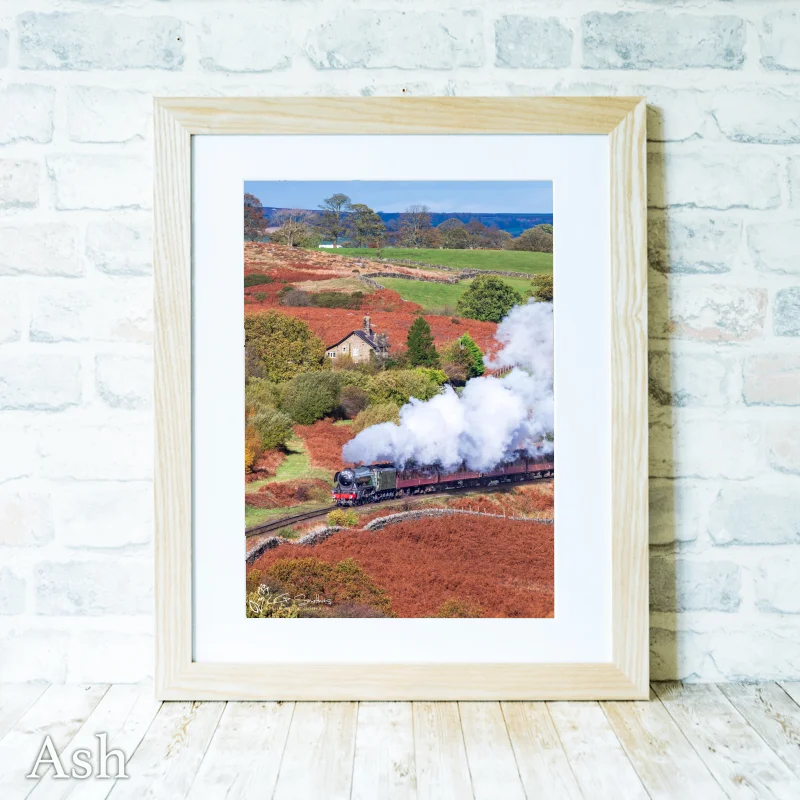 60103 Flying Scotsman On The North Yorkshire Moors Railway 4 60103 Flying Scotsman On The North Yorkshire Moors Railway - Ash-Portrait-Frame
