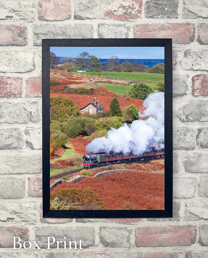 60103 Flying Scotsman On The North Yorkshire Moors Railway 6 60103 Flying Scotsman On The North Yorkshire Moors Railway - Box-Print-Portrait