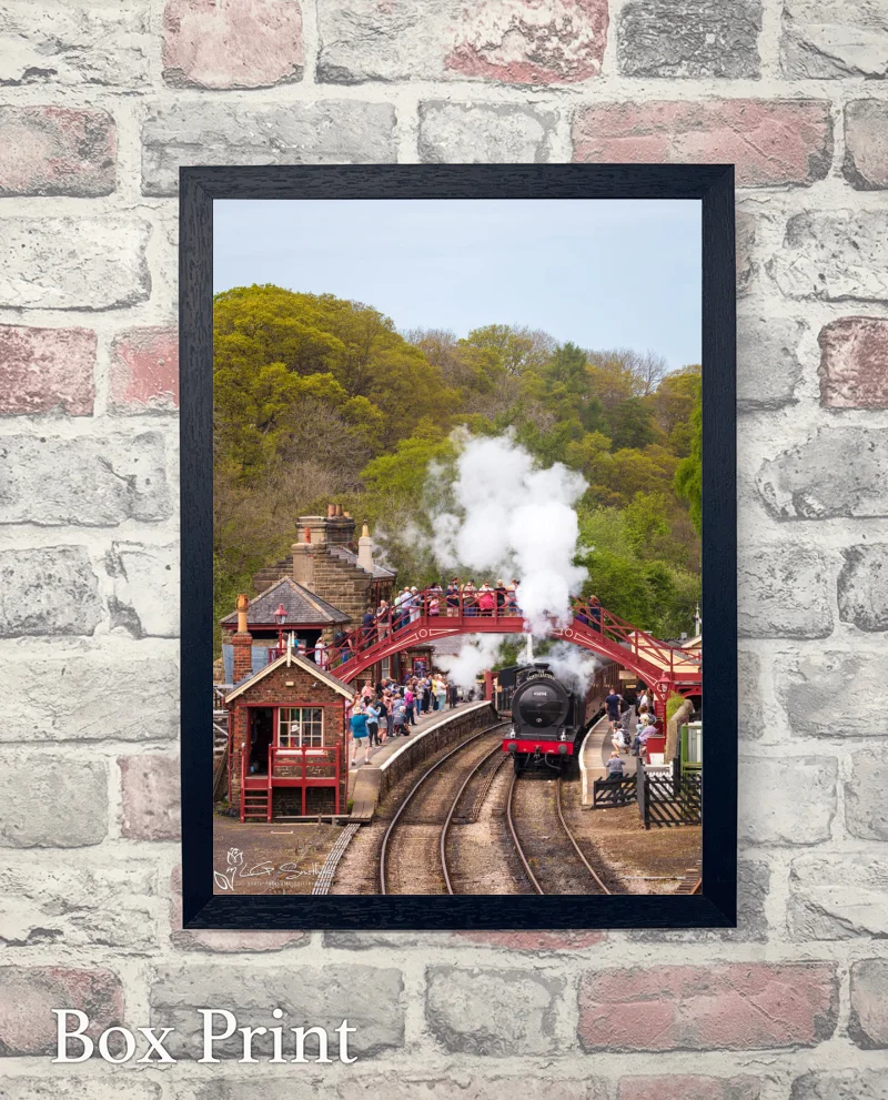 65894 J27 Arrives At Goathland Station 6 65894 J27 Arrives At Goathland Station - Box-Print-Portrait