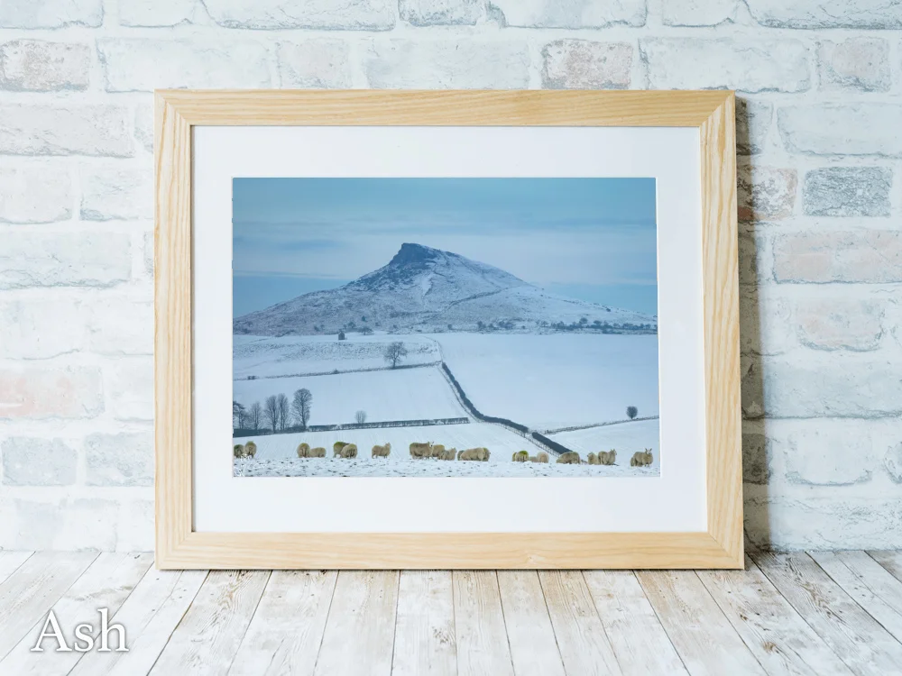 Aireyholme Sheep Roseberry Topping 7 Aireyholme Sheep Roseberry Topping - Ash-Landscape-Frame