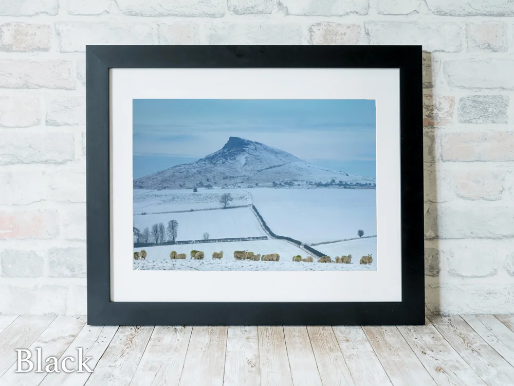 Aireyholme Sheep Roseberry Topping 6 Aireyholme Sheep Roseberry Topping - Black-Landscape-Frame