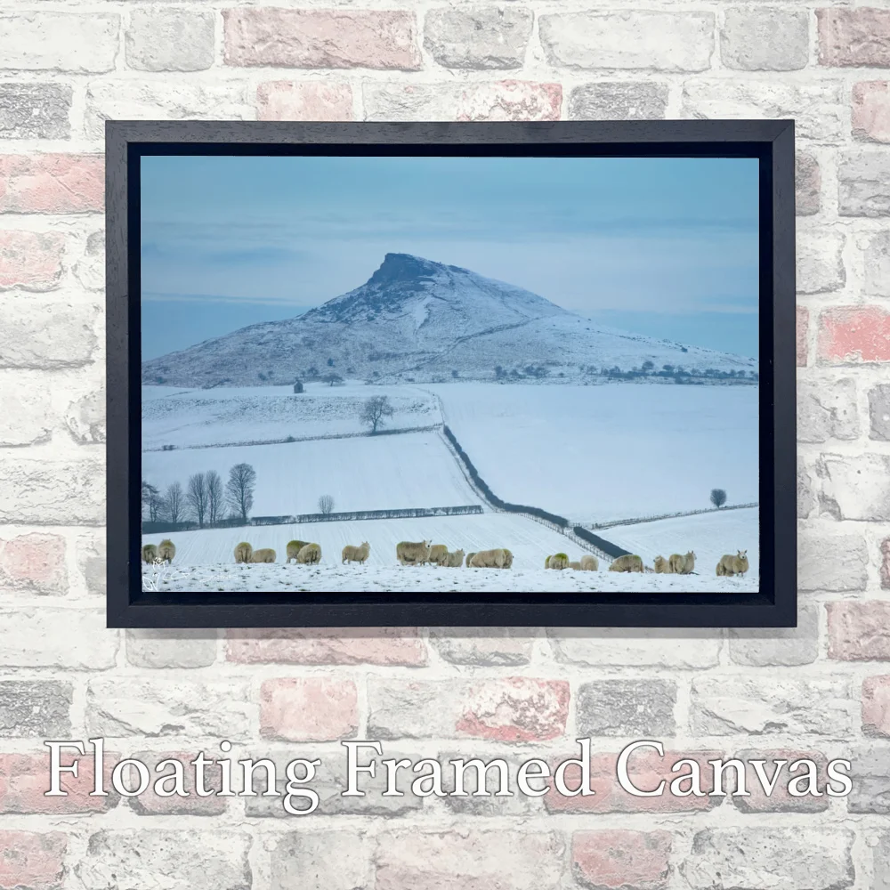 Aireyholme Sheep Roseberry Topping 3 Aireyholme Sheep Roseberry Topping - Landscape-Float-Frame-Canvas
