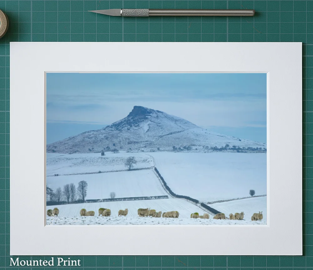 Aireyholme Sheep Roseberry Topping 2 Aireyholme Sheep Roseberry Topping - Landscape-Mounted-Print