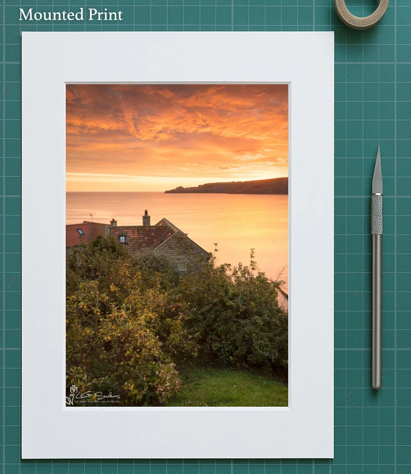Autumn Apple Trees At Runswick Bay 5 Autumn Apple Trees At Runswick Bay - Mounted-Print-Portrait