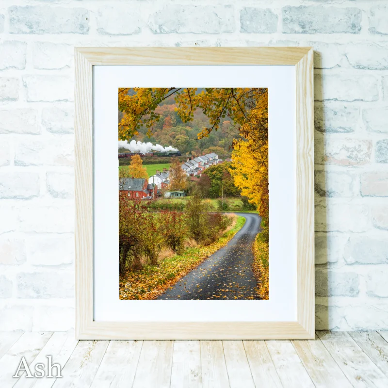 Autumn At Esk Valley Cottages As Flying Scotsman Passes by 4 Autumn At Esk Valley Cottages As Flying Scotsman Passes by - Ash-Portrait-Frame