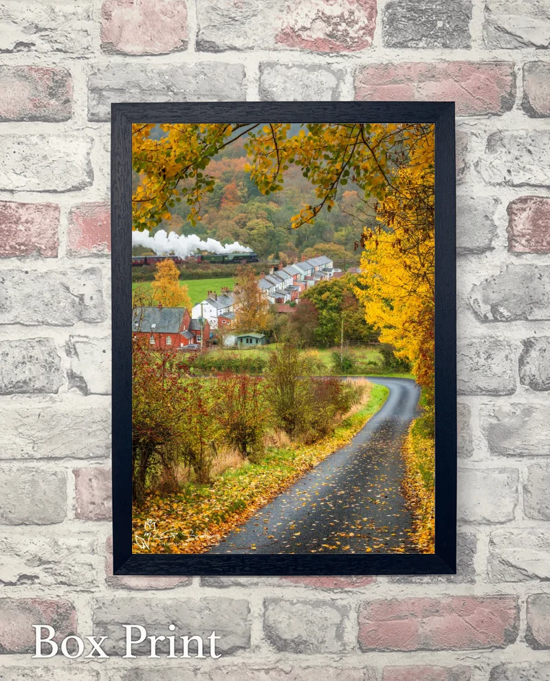 Autumn At Esk Valley Cottages As Flying Scotsman Passes by 6 Autumn At Esk Valley Cottages As Flying Scotsman Passes by - Box-Print-Portrait