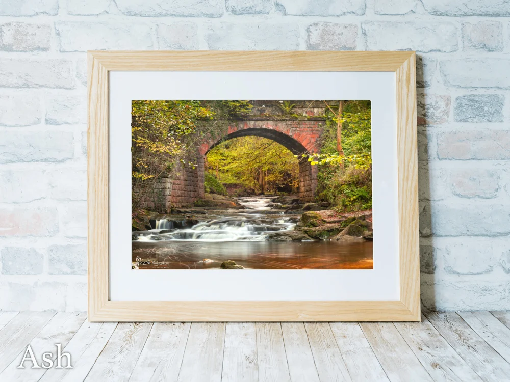 Autumn Under Falling Foss Bridge 7 Autumn Under Falling Foss Bridge - Ash-Landscape-Frame