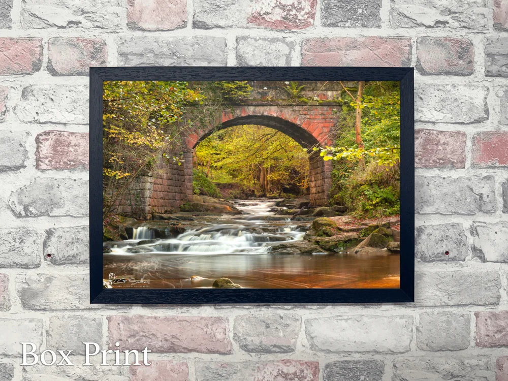 Autumn Under Falling Foss Bridge 4 Autumn Under Falling Foss Bridge - Landscape-Box-Print