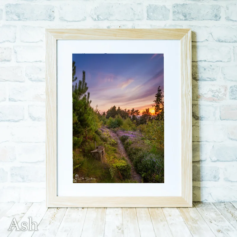 Ayton Woods Sunset 4 Ayton Woods Sunset - Ash-Portrait-Frame