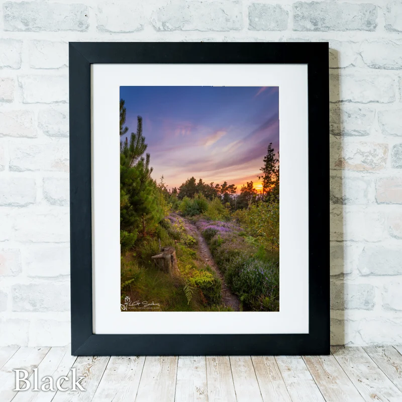 Ayton Woods Sunset 3 Ayton Woods Sunset - Black-Portrait-Frame