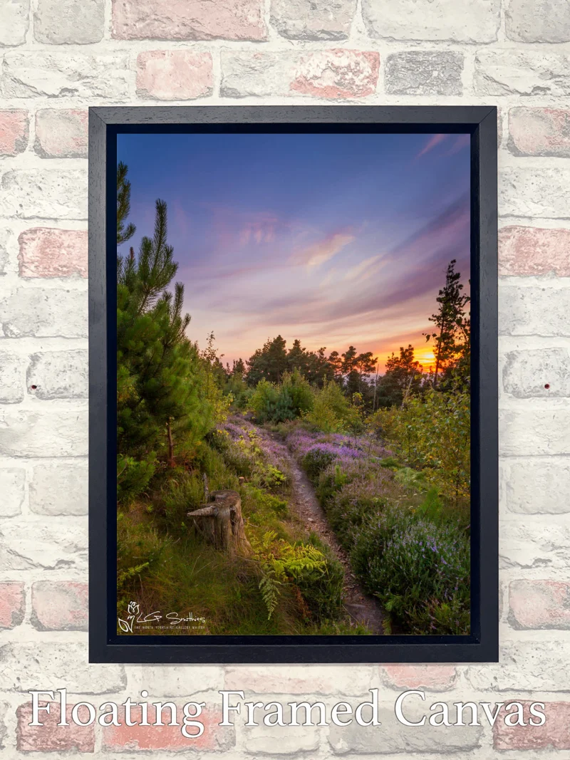 Ayton Woods Sunset 7 Ayton Woods Sunset - Float-Frame-Canvas-Portrait