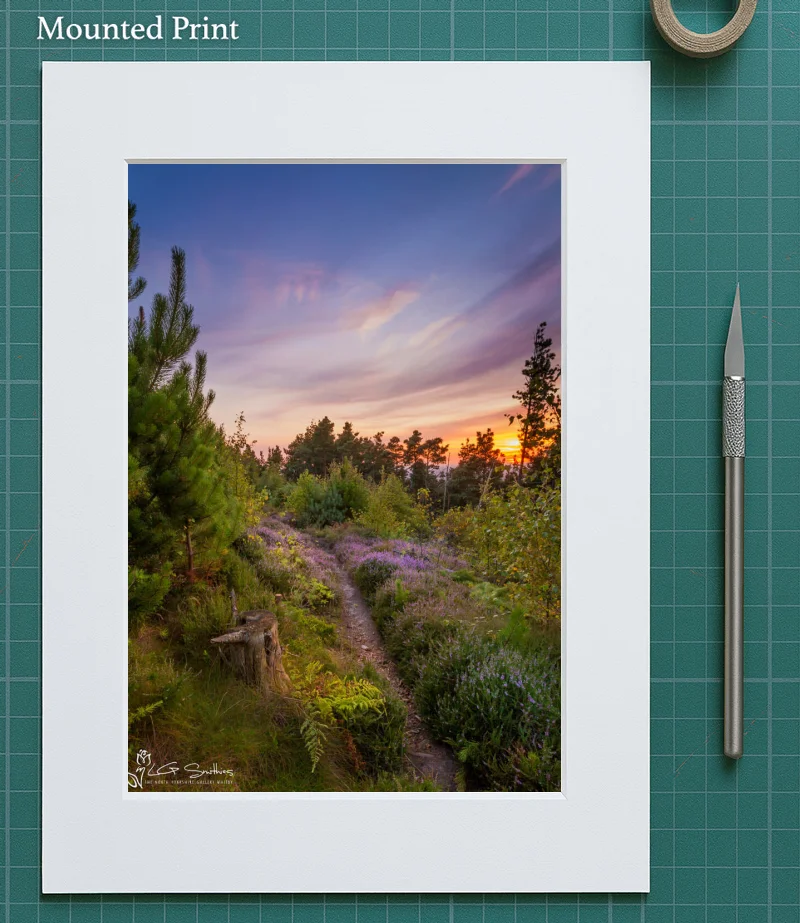 Ayton Woods Sunset 5 Ayton Woods Sunset - Mounted-Print-Portrait
