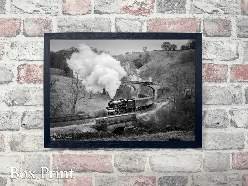Bahamas Black And White At Darnholm 4 Bahamas Black And White At Darnholm - Landscape-Box-Print