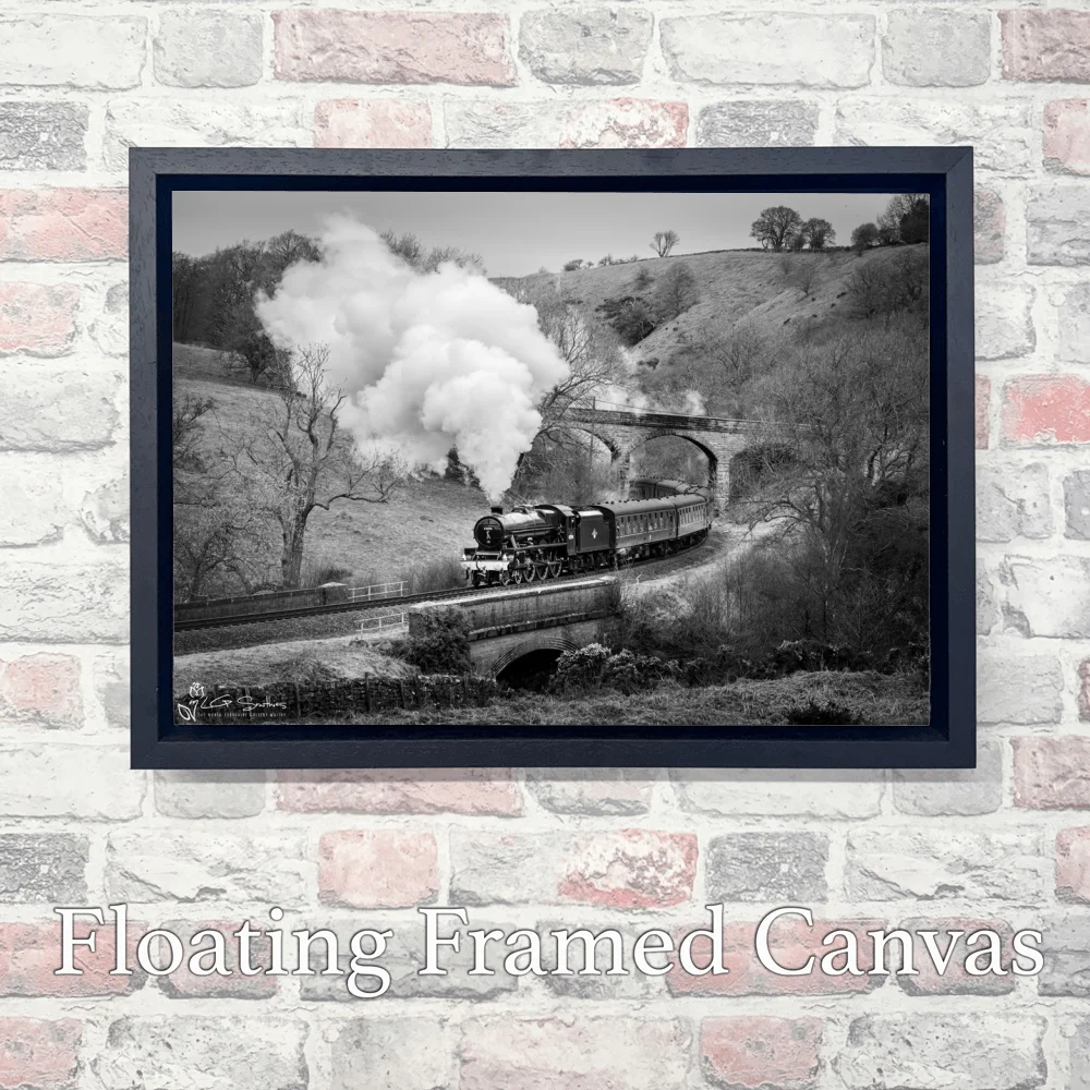 Bahamas Black And White At Darnholm 3 Bahamas Black And White At Darnholm - Landscape-Float-Frame-Canvas