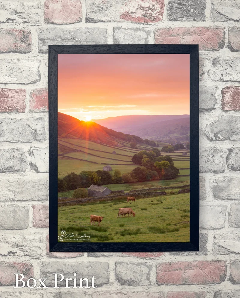 Beautiful Swaledale Sunrise 6 Beautiful Swaledale Sunrise - Box-Print-Portrait