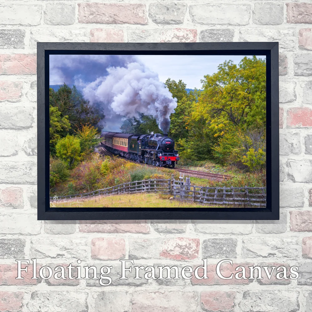 Black 5 No. 44806 3 Black 5 No. 44806 - Landscape-Float-Frame-Canvas