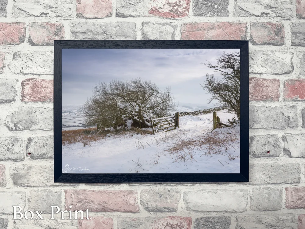 Blakey Ridge In The Snow 4 Blakey Ridge In The Snow - Landscape-Box-Print