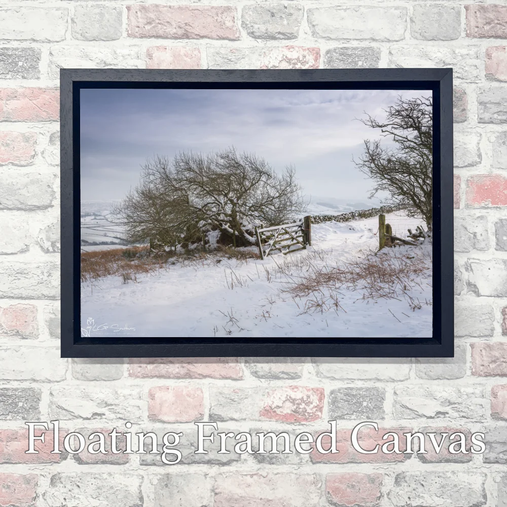 Blakey Ridge In The Snow 3 Blakey Ridge In The Snow - Landscape-Float-Frame-Canvas