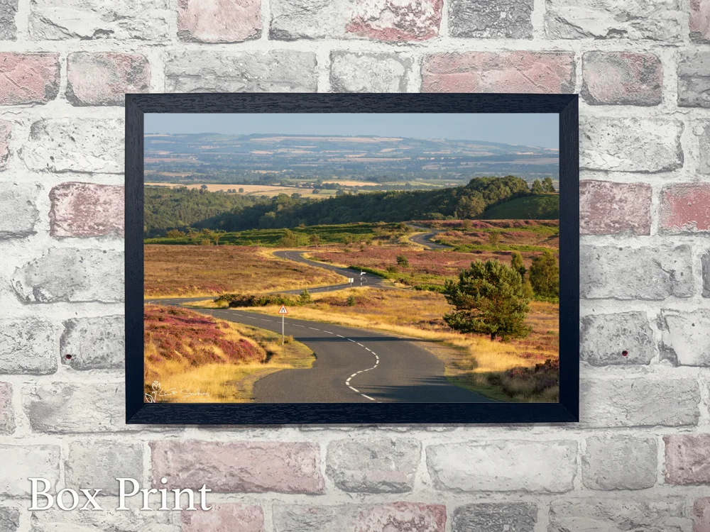 Blakey Ridge To Hutton Le Hole 4 Blakey Ridge To Hutton Le Hole - Landscape-Box-Print