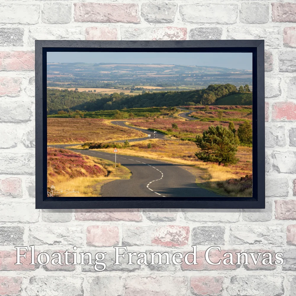 Blakey Ridge To Hutton Le Hole 3 Blakey Ridge To Hutton Le Hole - Landscape-Float-Frame-Canvas
