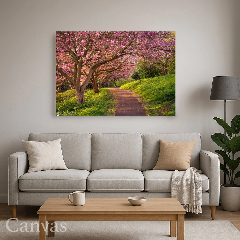 Blossom Sunrise at Saltburn’s Italian Gardens 8 Blossom Sunrise at Saltburn’s Italian Gardens - Wall-art-for-living-room-landscape