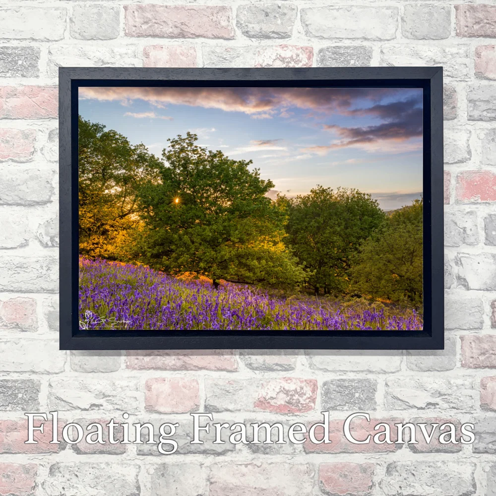 Bluebell Sunset 3 Bluebell Sunset - Landscape-Float-Frame-Canvas