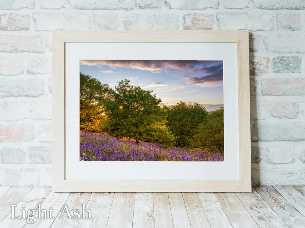 Bluebell Sunset 5 Bluebell Sunset - Light-Ash-Landscape-Frame
