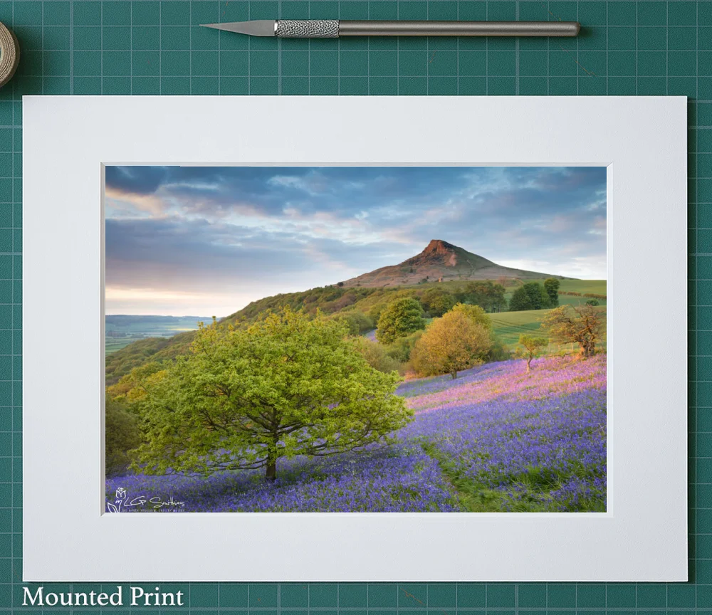 Bluebells At Roseberry Topping 2 Bluebells At Roseberry Topping - Landscape-Mounted-Print