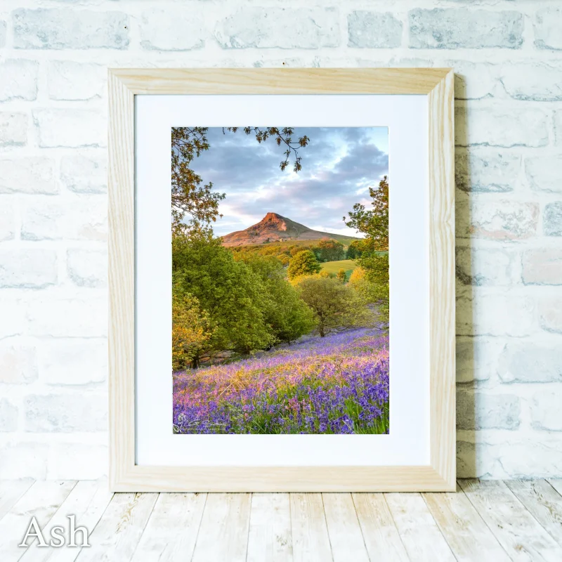 Bluebells In The Newton Woods Portrait 4 Bluebells In The Newton Woods Portrait - Ash-Portrait-Frame