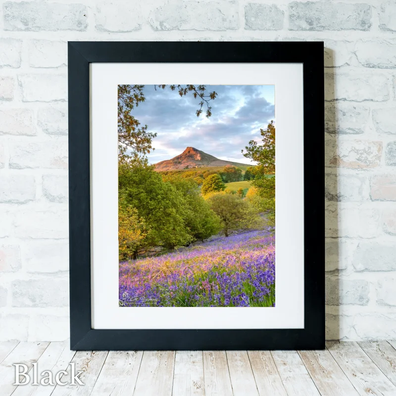 Bluebells In The Newton Woods Portrait 3 Bluebells In The Newton Woods Portrait - Black-Portrait-Frame