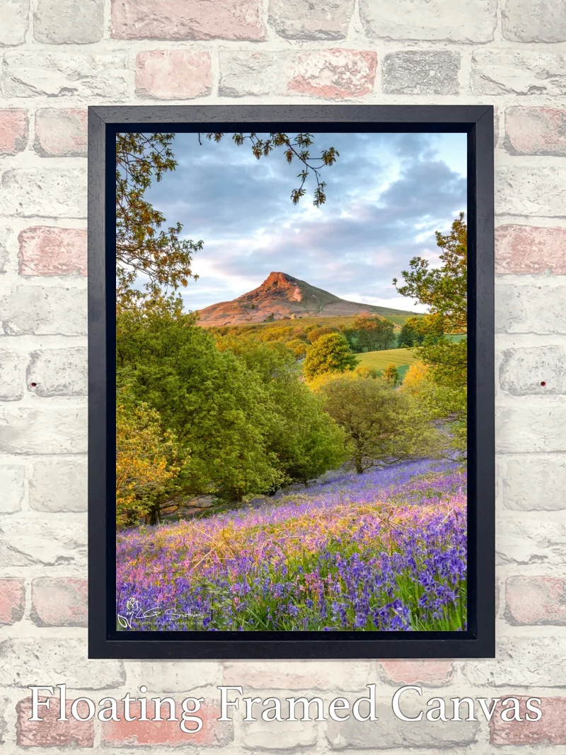 Bluebells In The Newton Woods Portrait 7 Bluebells In The Newton Woods Portrait - Float-Frame-Canvas-Portrait