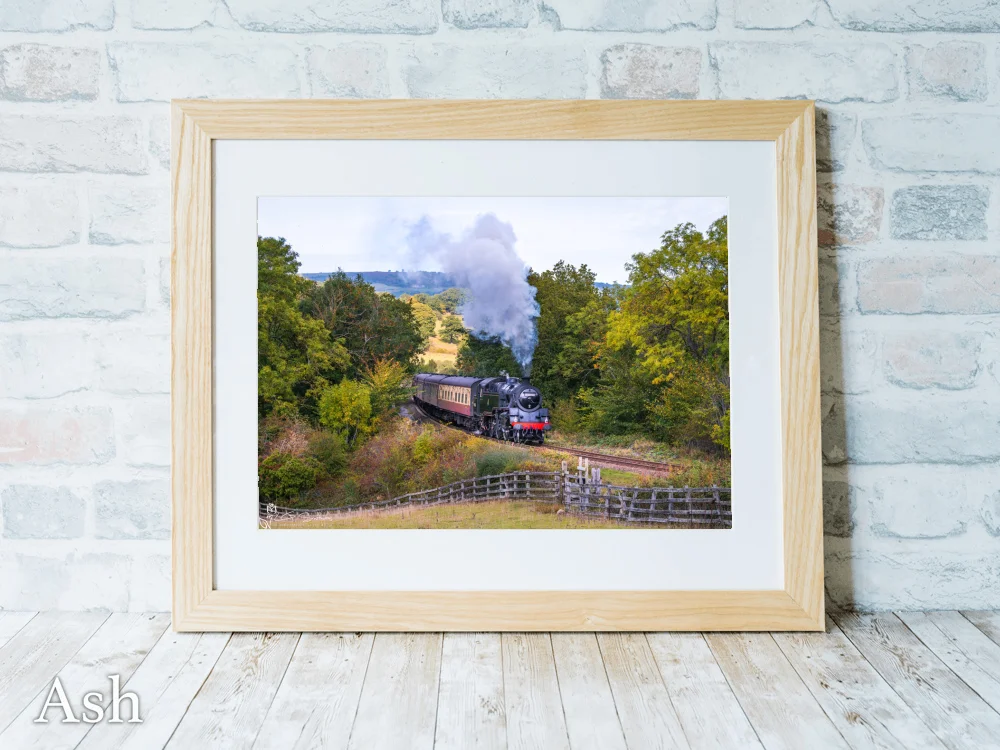 BR Standard 4 Tank No. 80136 During the NYMR 2025 Steam Gala 7 BR Standard 4 Tank No. 80136 During the NYMR 2025 Steam Gala - Ash-Landscape-Frame