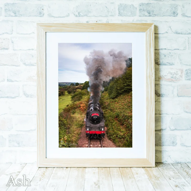 BR Standard 4 Tank On The North York Moors Railway 4 BR Standard 4 Tank On The North York Moors Railway - Ash-Portrait-Frame