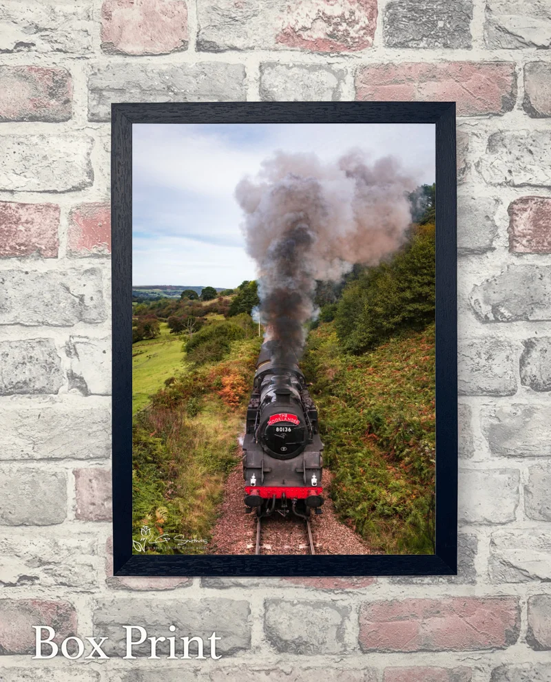 BR Standard 4 Tank On The North York Moors Railway 6 BR Standard 4 Tank On The North York Moors Railway - Box-Print-Portrait