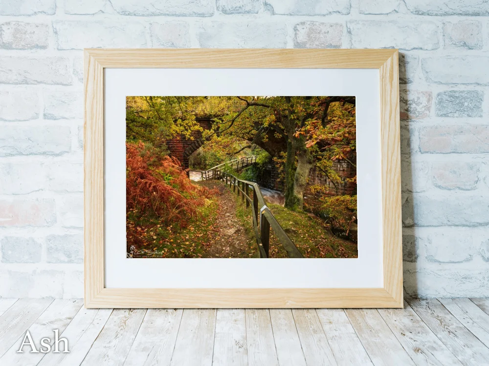 Bridge Under The Bridge Goathland 7 Bridge Under The Bridge Goathland - Ash-Landscape-Frame