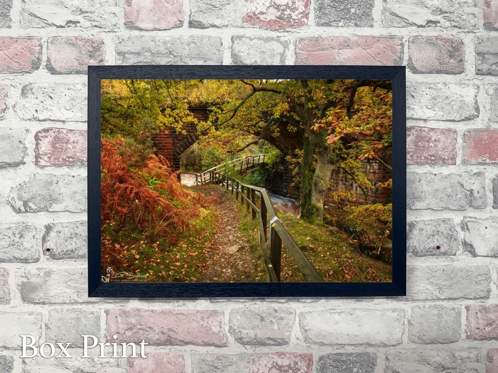 Bridge Under The Bridge Goathland 4 Bridge Under The Bridge Goathland - Landscape-Box-Print
