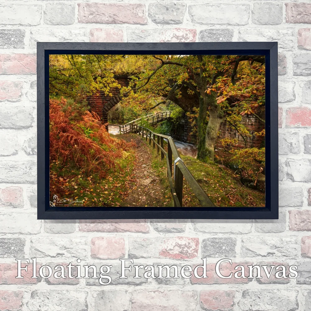 Bridge Under The Bridge Goathland 3 Bridge Under The Bridge Goathland - Landscape-Float-Frame-Canvas