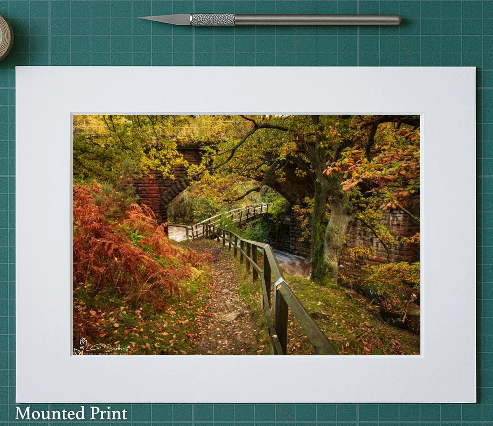Bridge Under The Bridge Goathland 2 Bridge Under The Bridge Goathland - Landscape-Mounted-Print