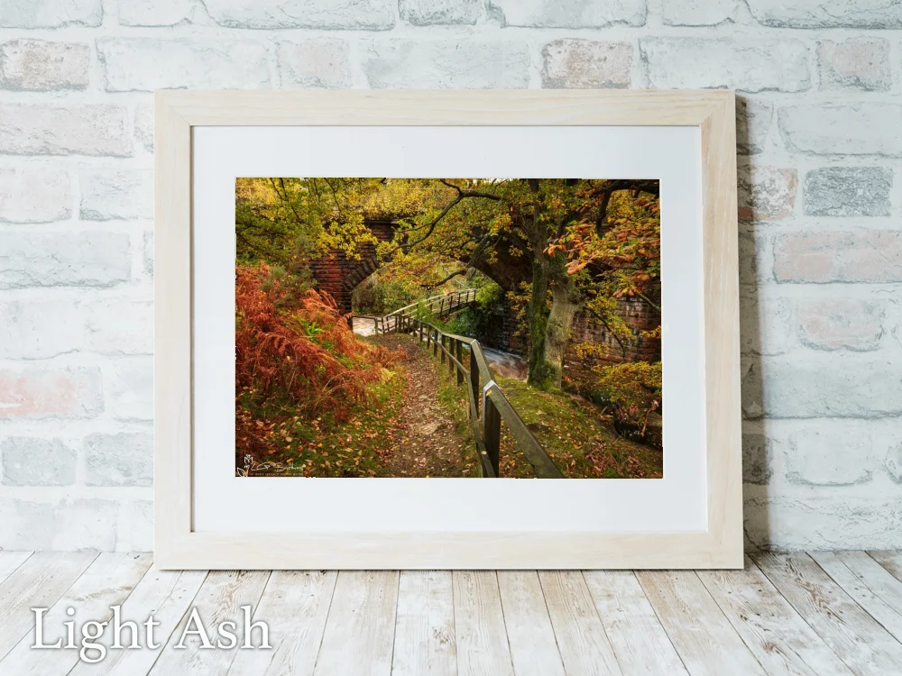 Bridge Under The Bridge Goathland 5 Bridge Under The Bridge Goathland - Light-Ash-Landscape-Frame