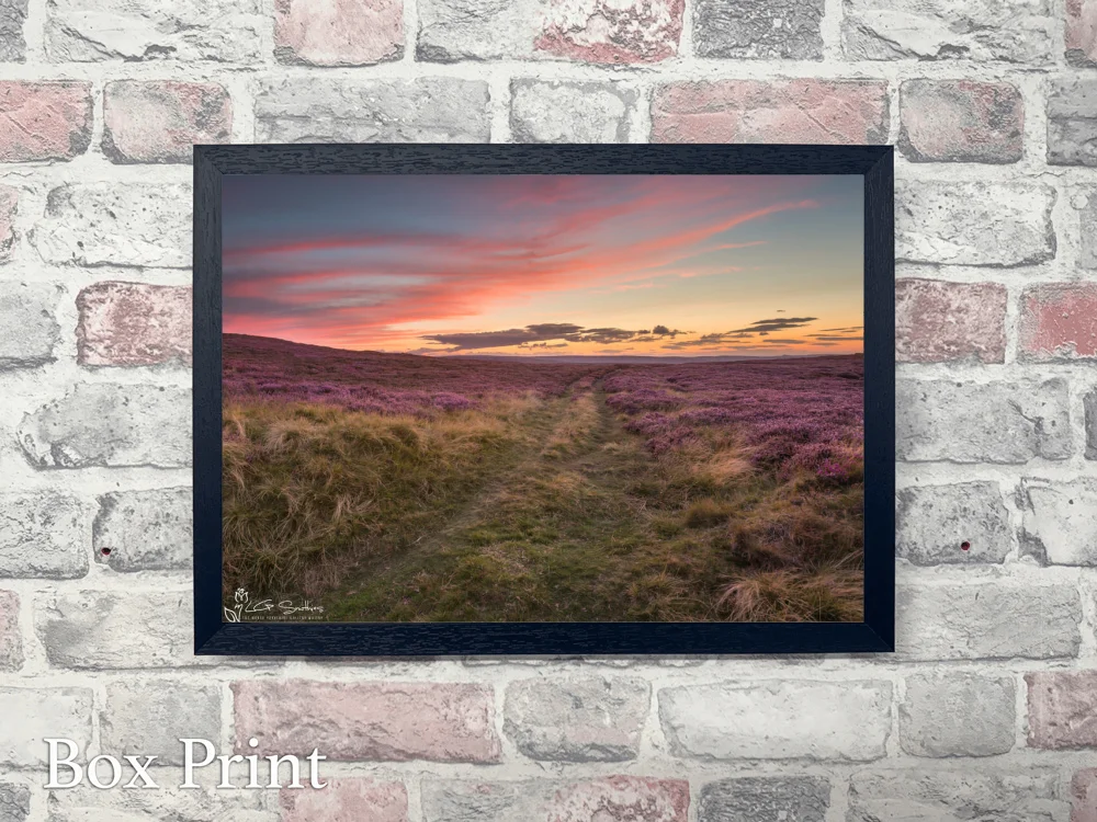 Bridleway Through The Moor 4 Bridleway Through The Moor - Landscape-Box-Print