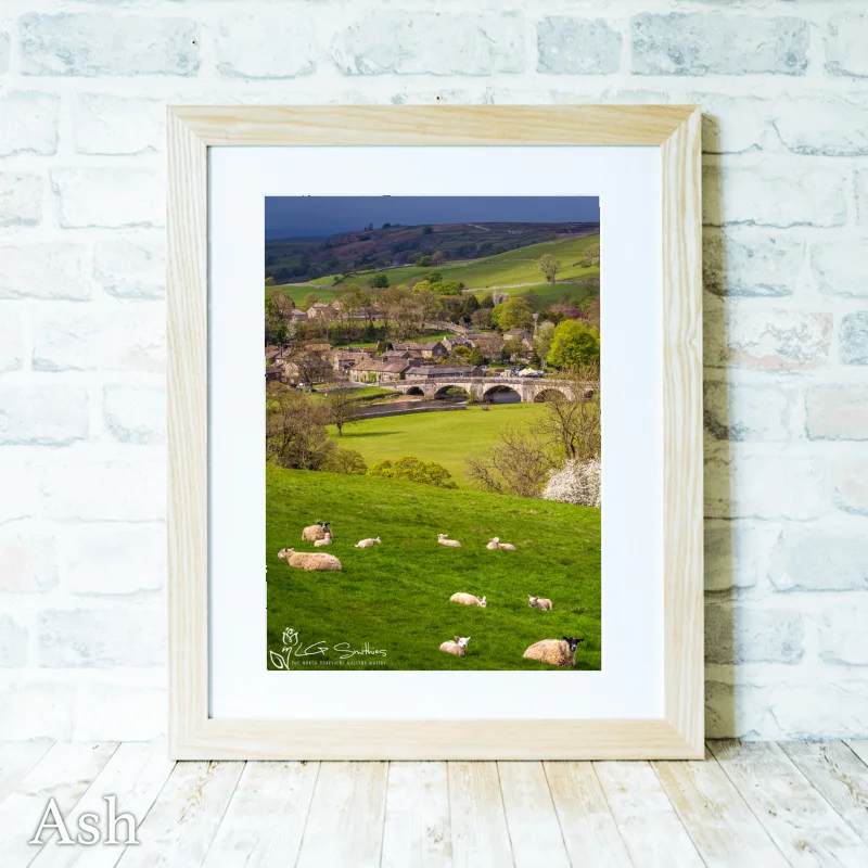 Burnsall Spring Lambs 4 Burnsall Spring Lambs - Ash-Portrait-Frame