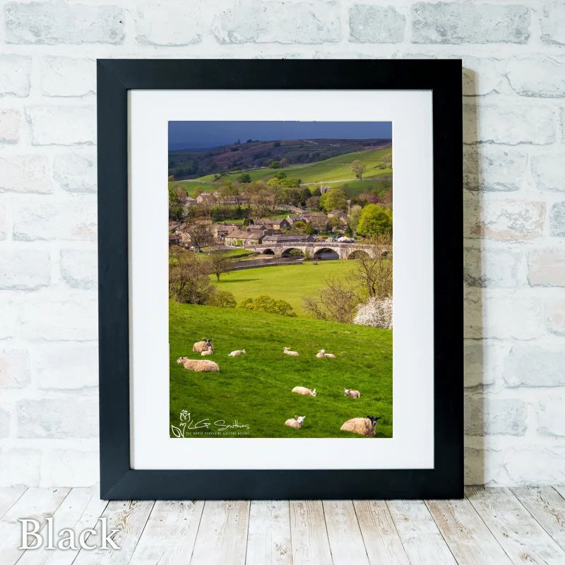 Burnsall Spring Lambs 3 Burnsall Spring Lambs - Black-Portrait-Frame