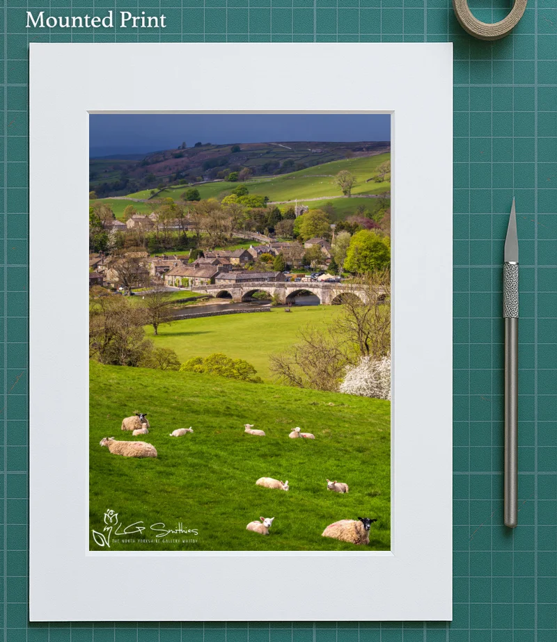 Burnsall Spring Lambs 5 Burnsall Spring Lambs - Mounted-Print-Portrait